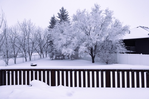 فریبت-می‌دهد،-بر-آسمان-این-سرخی،-بعد-از-سحرگه-نیست
